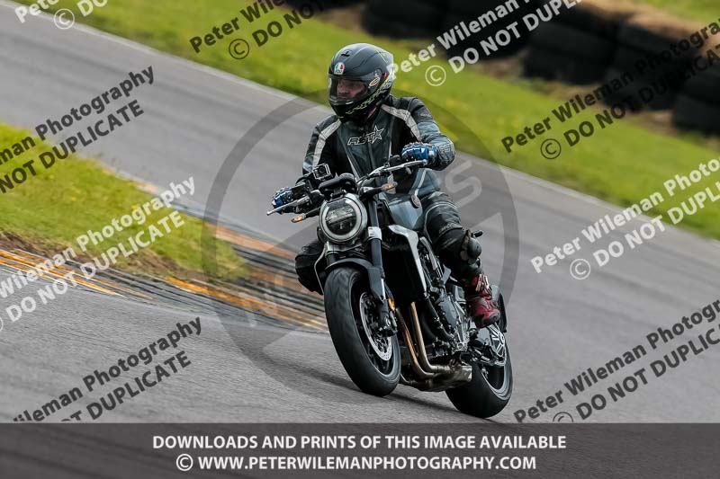 PJ Motorsport 2019;anglesey no limits trackday;anglesey photographs;anglesey trackday photographs;enduro digital images;event digital images;eventdigitalimages;no limits trackdays;peter wileman photography;racing digital images;trac mon;trackday digital images;trackday photos;ty croes